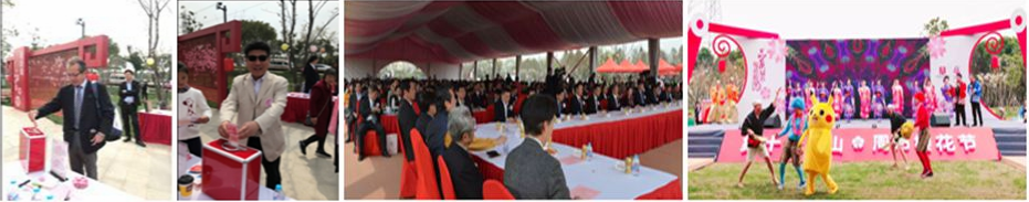 红桃视频17c永久进站